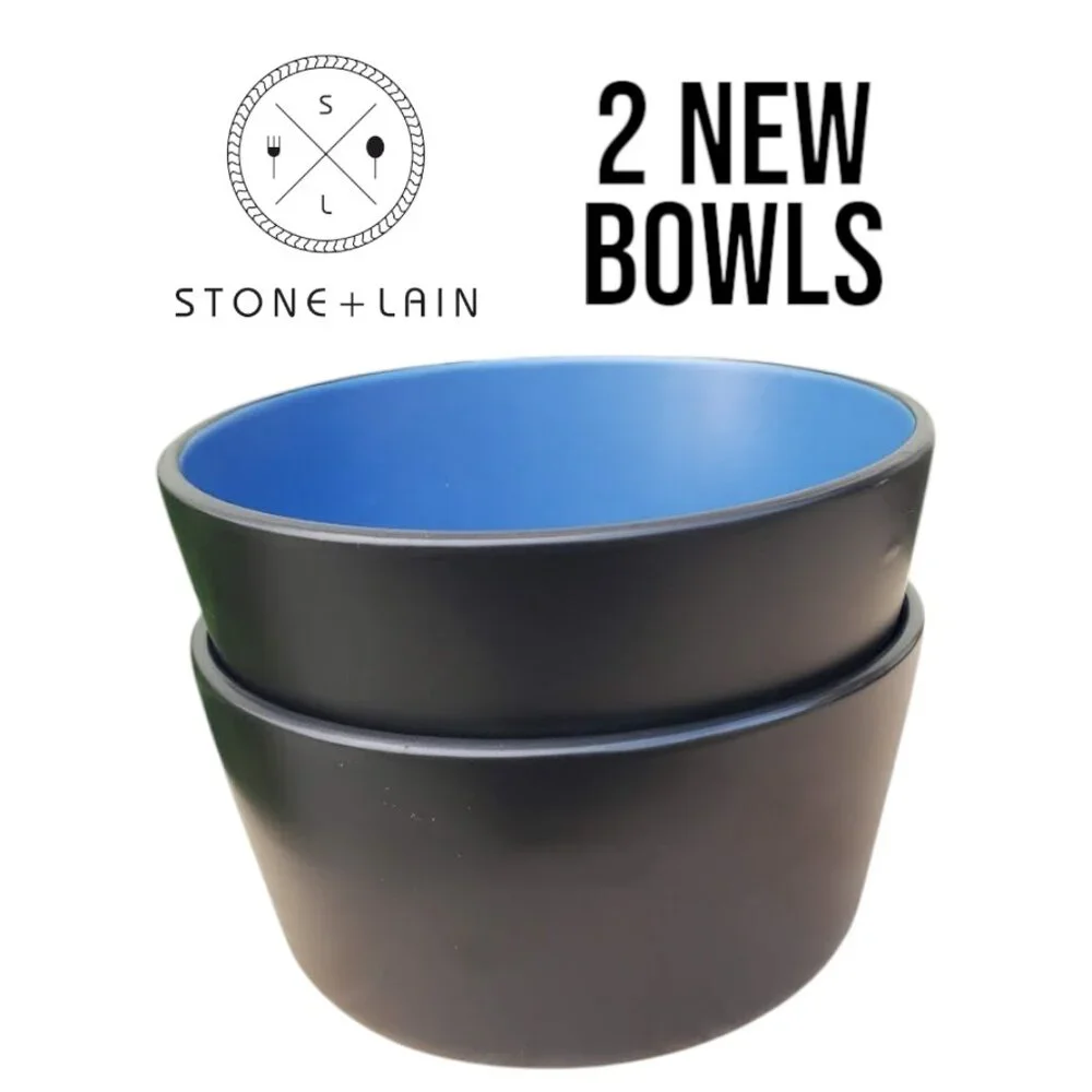 NEW Stone Lain 2 Bowls Stoneware Dinnerware Set Blue and Black Dishwasher and Mi